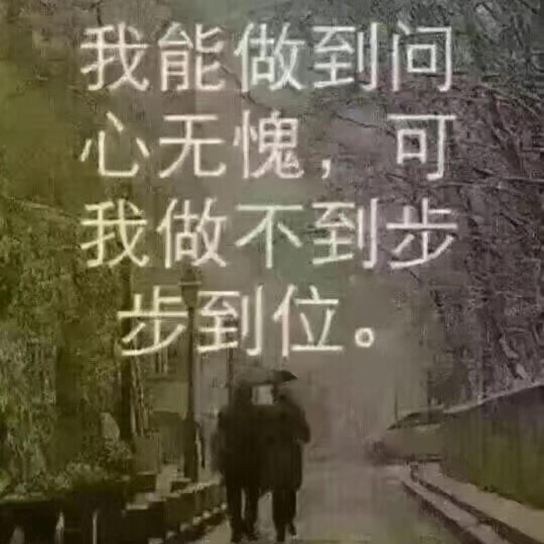 琴宝