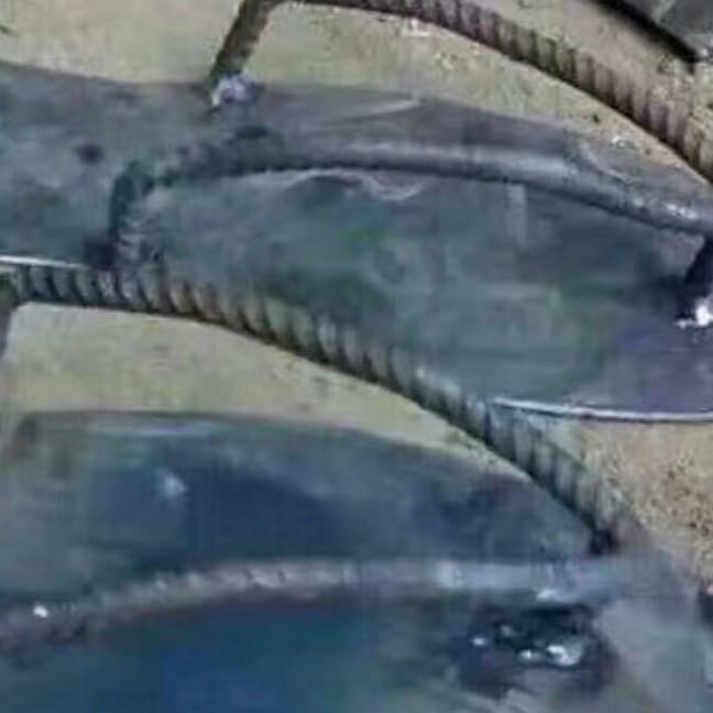 单车变摩托
