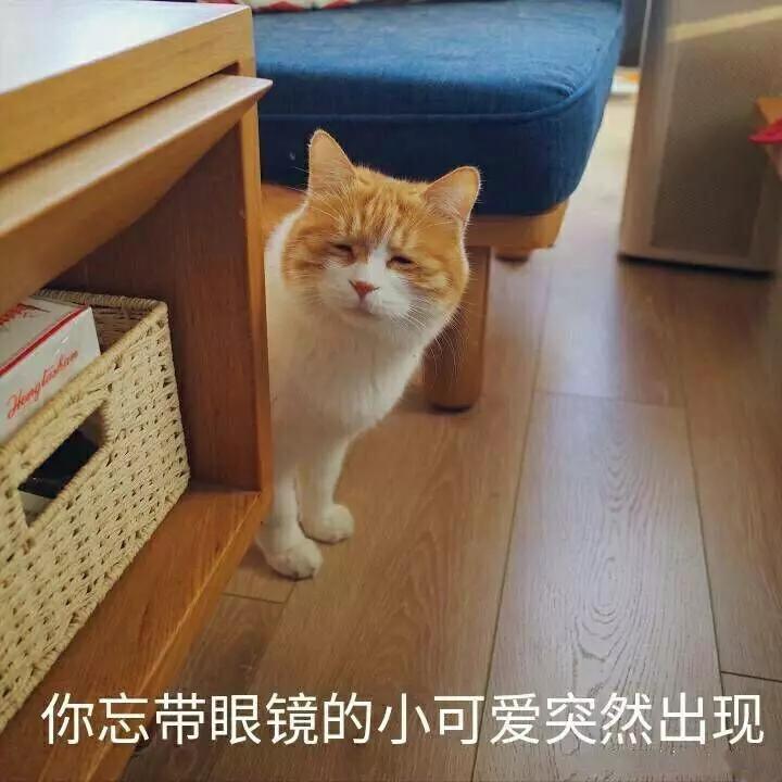 武小鱼