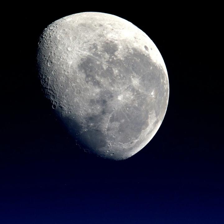 🌈胜者为王先生