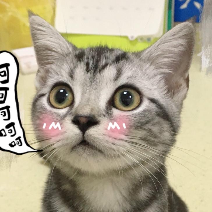 王甜甜爱有钱\^O^/