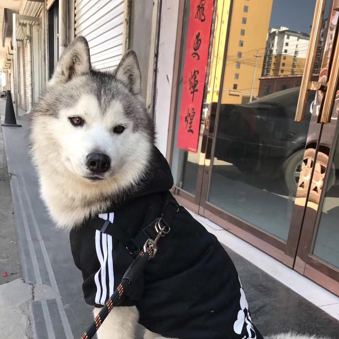 红烧饼