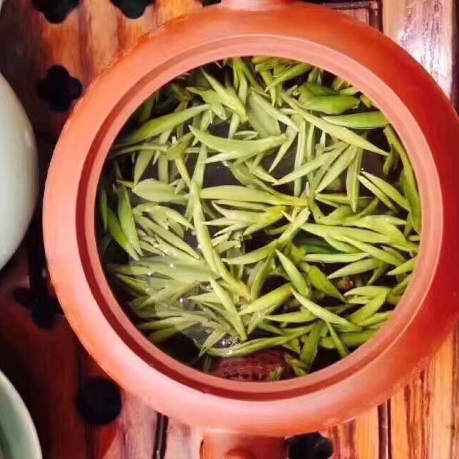 琴琴
