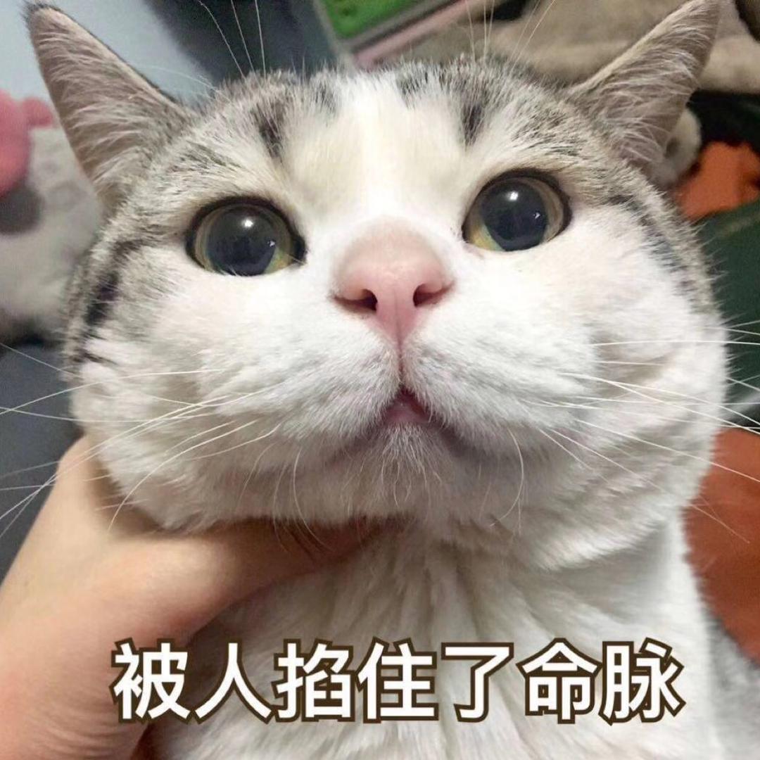 快跑我老婆回来了