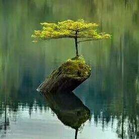 谭木匠（装修团队）