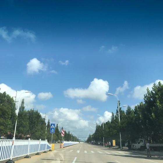 微凉半夏