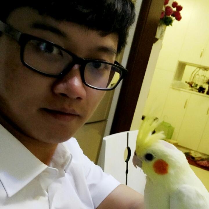Tiny杰