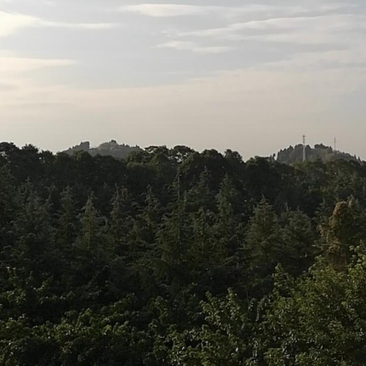 可比性