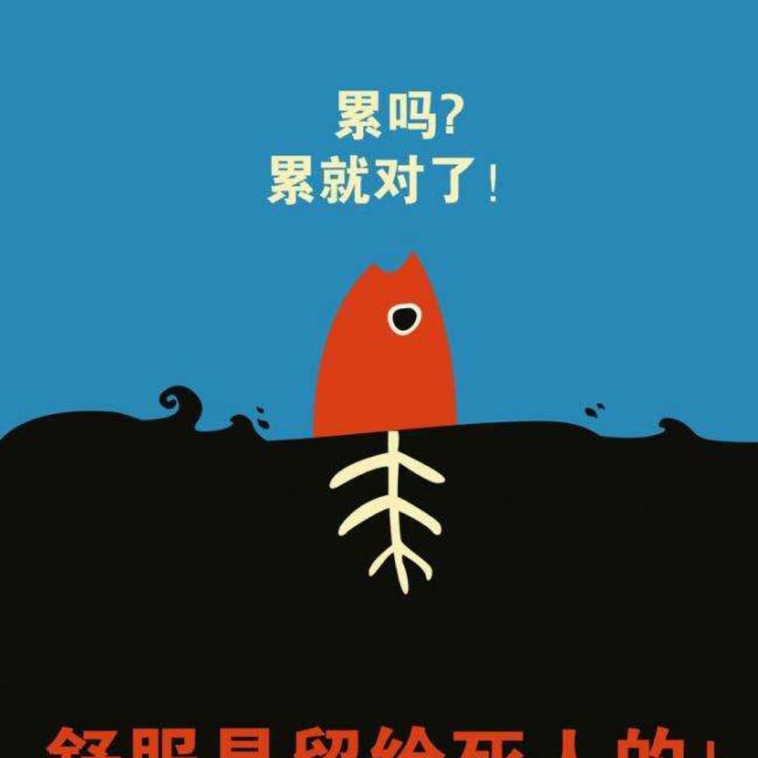 🐟鱼的记忆