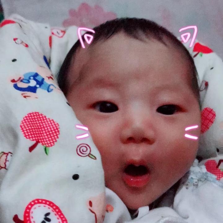 龙腾