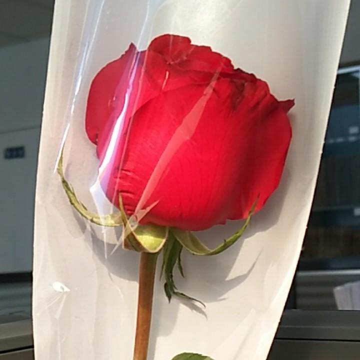 瑷(ღ˘⌣˘ღ)