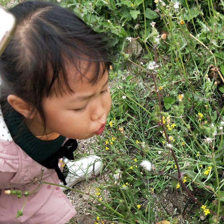 Z香