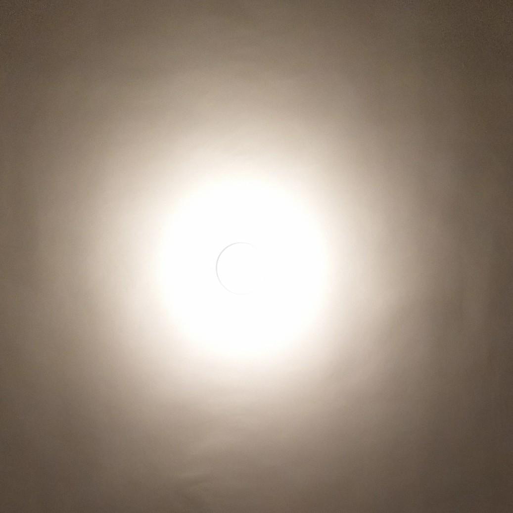 狻饕赑（活死人）