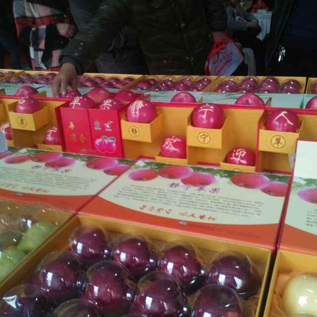 杨方良160