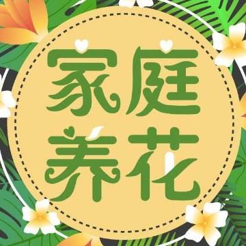 家庭园艺之养花课堂@抖音