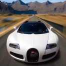 爱你永不后悔3506