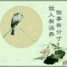 老民369