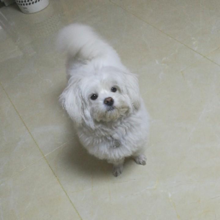 力华