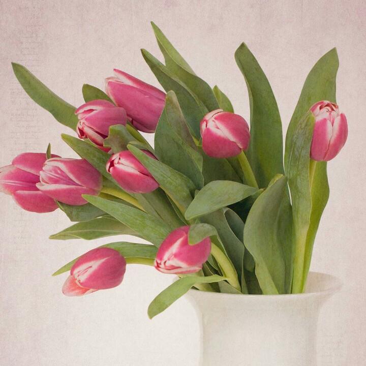 暖阳（拒连赞）