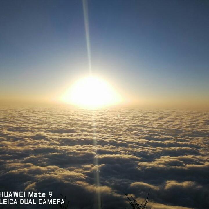 山中阳光