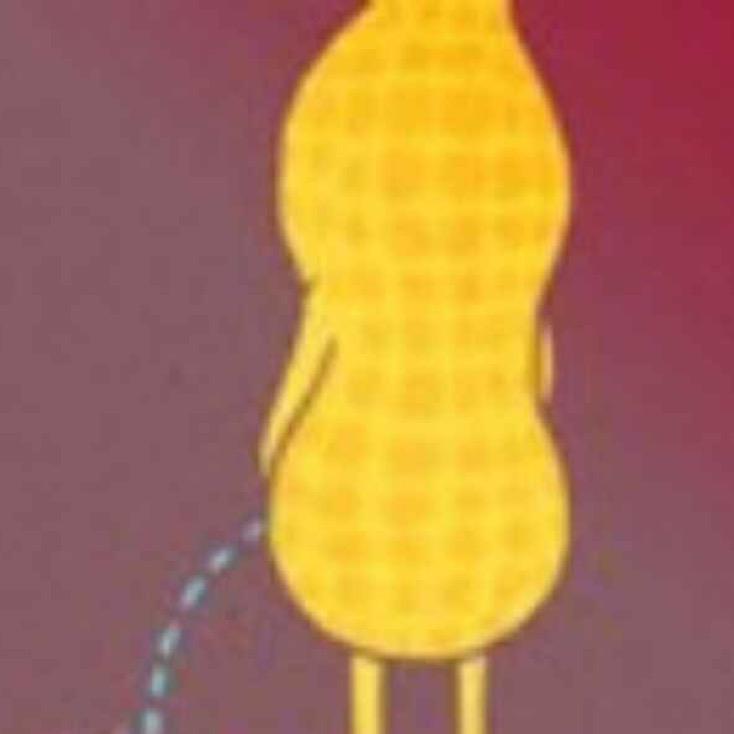 不会游泳的鱼🐡