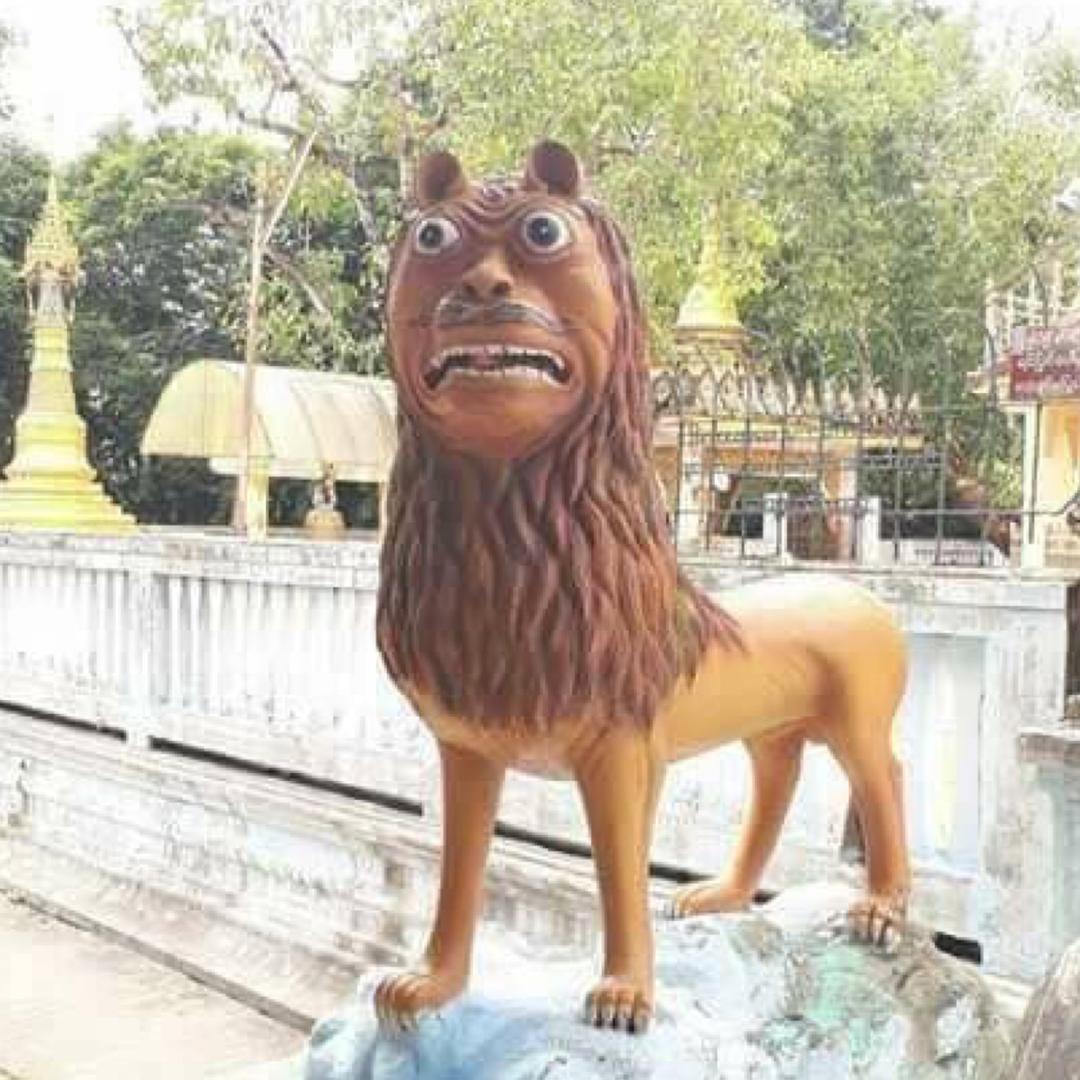杨壮实