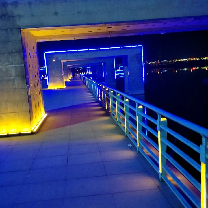 陌陌