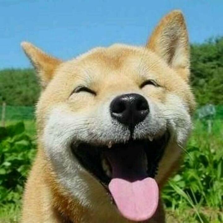 罗萱萱