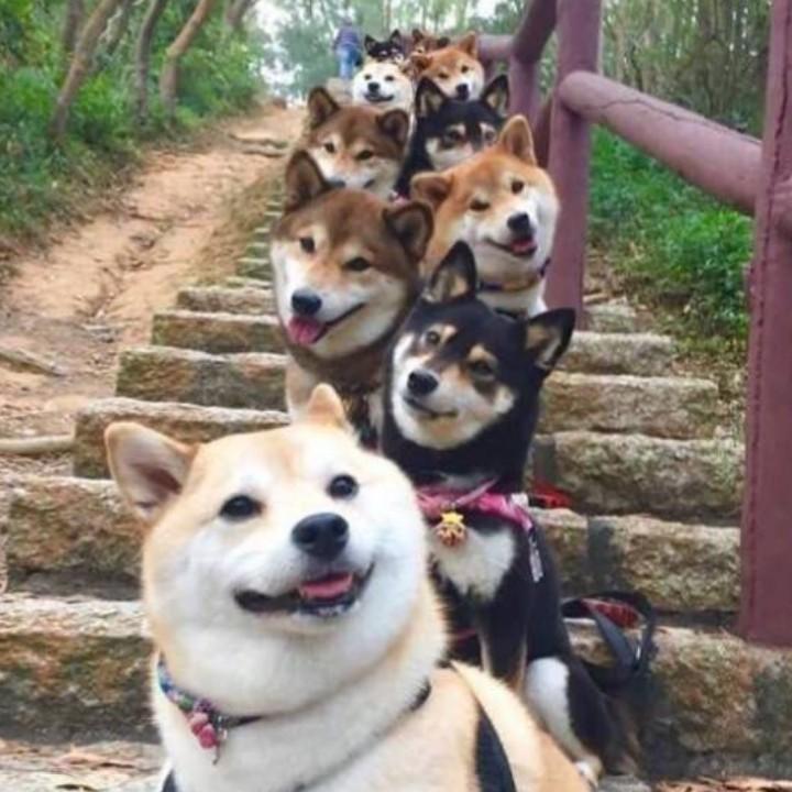 月半徐