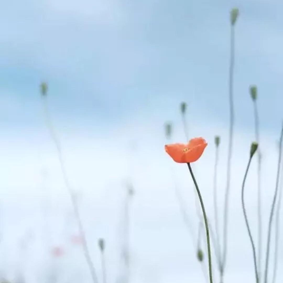 一家院子