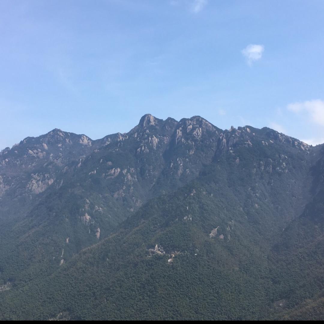 中高物流