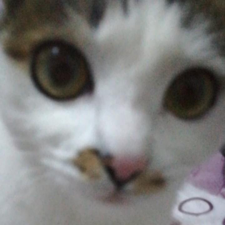 雨一