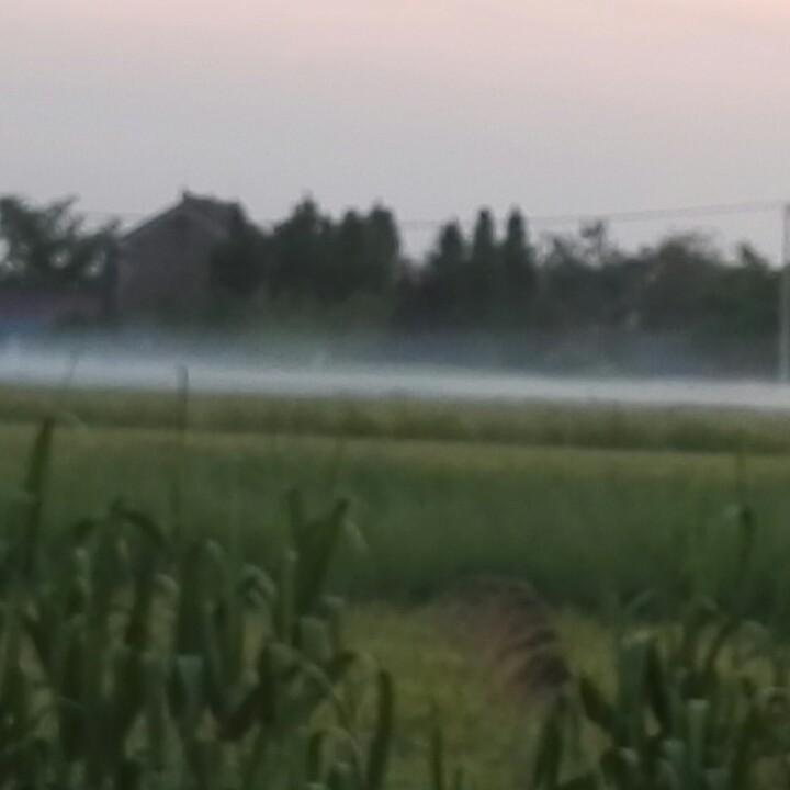 曹磊