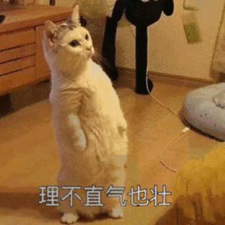 海口龙华柯代双百货店