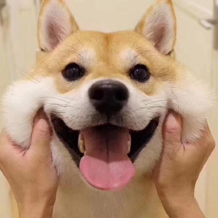 大丫头憨憨