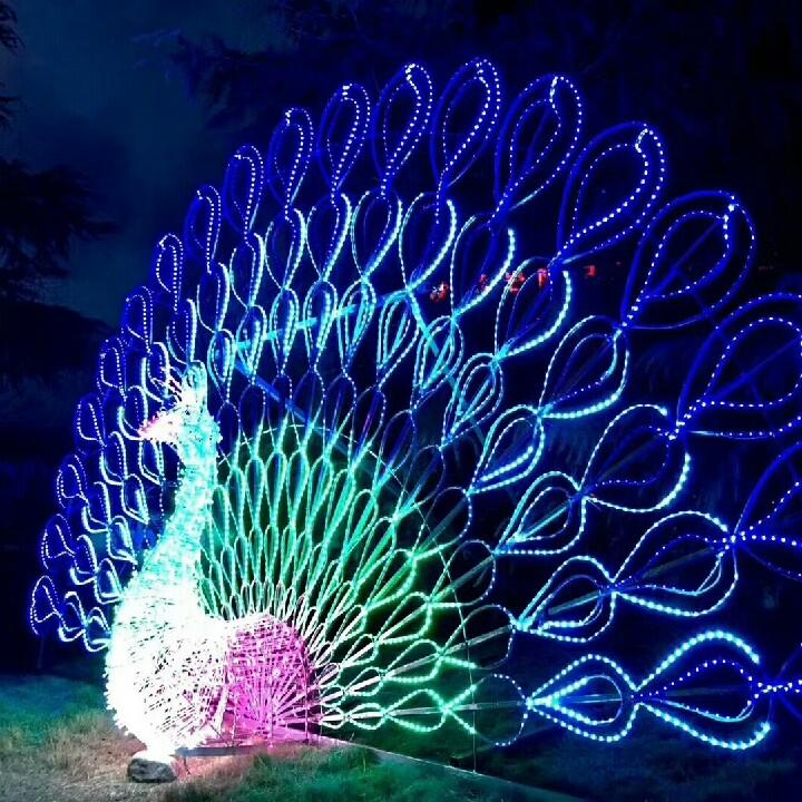 @星辰大海