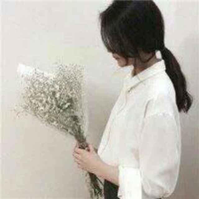 花开花落又是雨季981