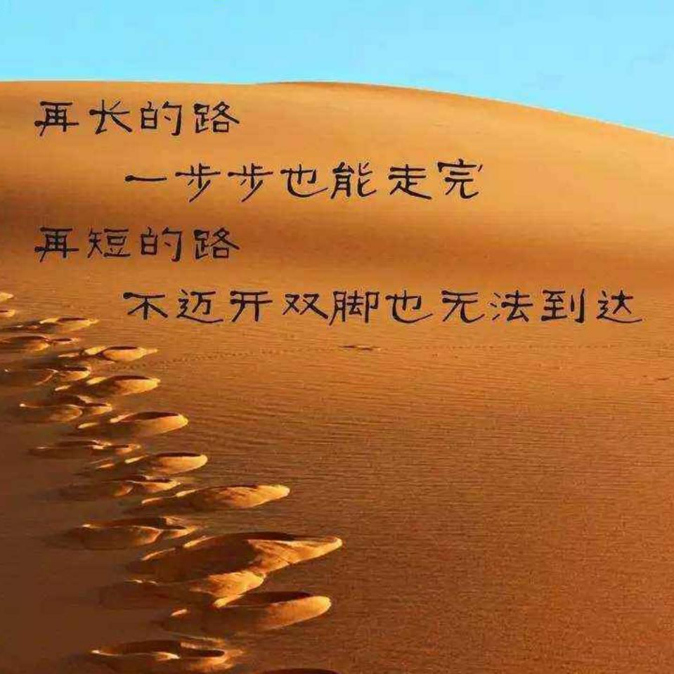 潇洒的生活