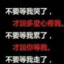 开三菱猎豹