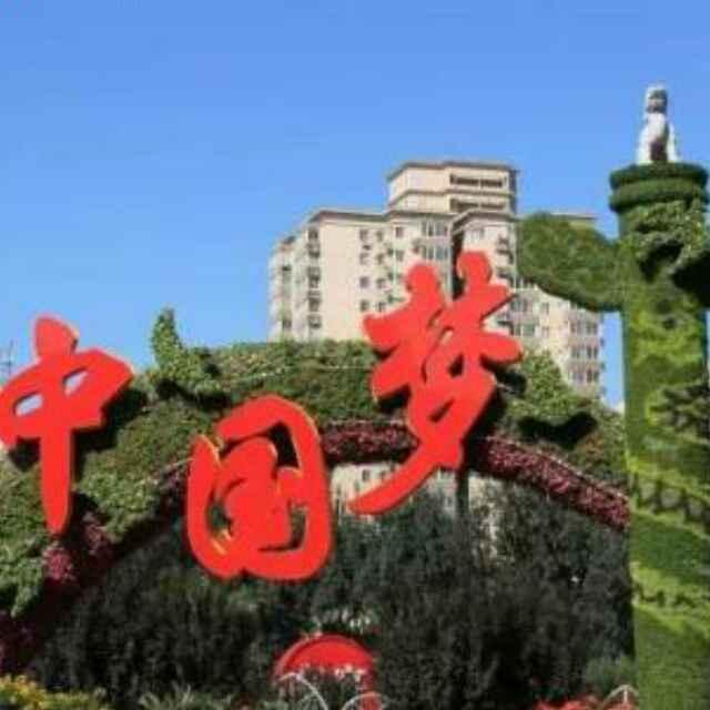 飞黄腾达_22743