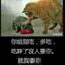 春光_254200553