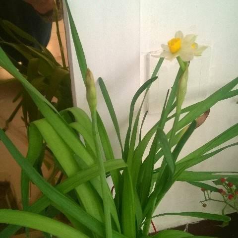 花好月圆