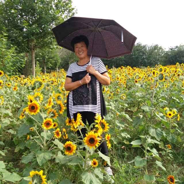 浪漫人生路  凤姐