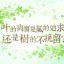 永恒的~心