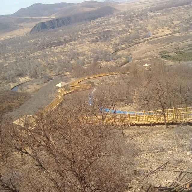 刘兴旺_