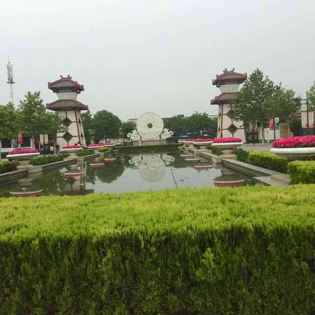 小树林见