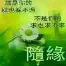 且行且看且从容
