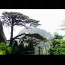 千山万水0086