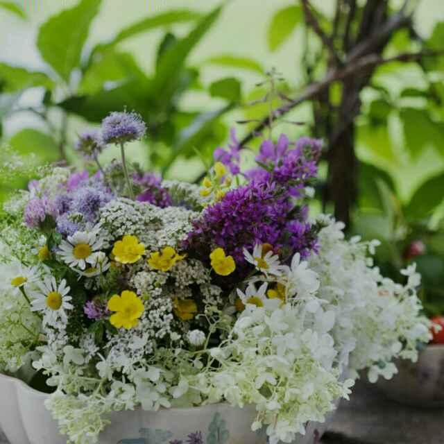 无言的结局_2287