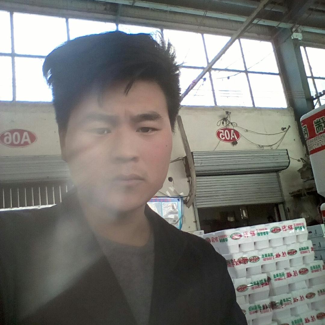 蒲公英向往自由